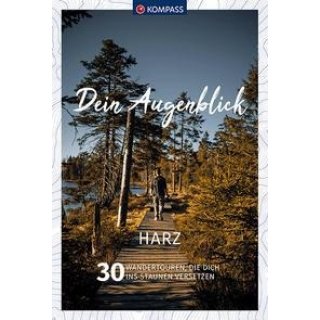Dein Augenblick Harz