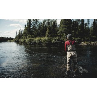 The New Outsiders (DE)