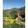 Wild Swimming Spanien