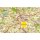 Teschener Land - Mährisch Schlesien - Schlesische Beskiden 1:100.000