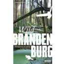 Brandenburg: Wild Brandenburg. 50 Sehnsuchtsorte in der...