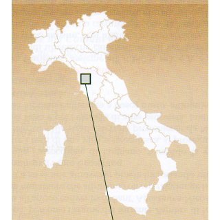 Monte Pisano 1:25.000