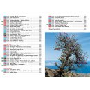 Kapverden - S&uuml;d. Maio, Santiago, Fogo, Brava