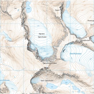 Jotunheimen: Besseggen & Bygdin 1:25.000