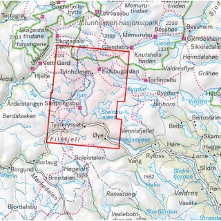 Jotunheimen: Tyin & Filefjell 1:25.000
