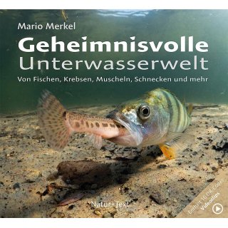 Geheimnisvolle Unterwasserwelt