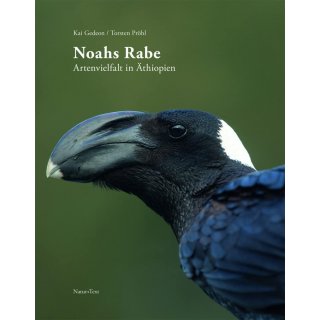 Noahs Rabe