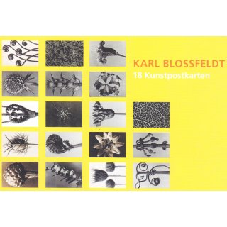 Blossfeld Kunstpostkarten