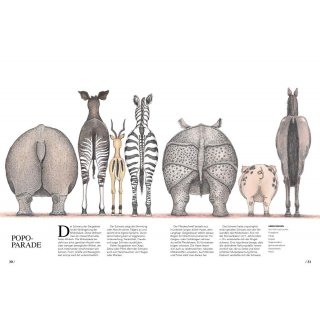 Was guckst du denn so? Kurioses aus der Welt der Sugetiere