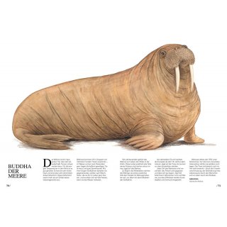Was guckst du denn so? Kurioses aus der Welt der Sugetiere