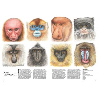 Was guckst du denn so? Kurioses aus der Welt der Sugetiere