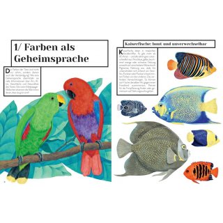 Warum wirst du denn rot? Kurioses und Informatives ber die Farben in der Tierwelt
