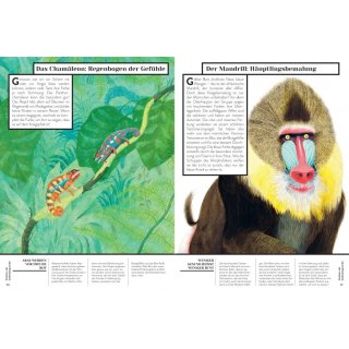 Warum wirst du denn rot? Kurioses und Informatives ber die Farben in der Tierwelt