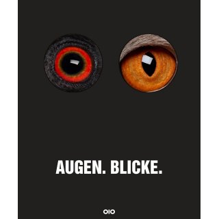 Augen. Blicke