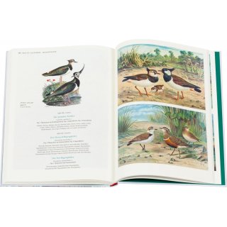 Die Vgel Mitteleuropas