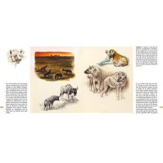 Endlos ziehende Herden - Ein Tiermaler in Ostafrika