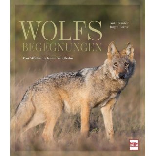 Wolfsbegegnungen