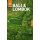 Bali and Lombok Rough Guides