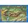 Beskid Maly (Westbeskiden) 1:40.000