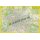Pharus Berlin - Wandplan 1:26.000