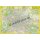 Pharus Berlin - Wandplan 1:26.000