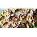 Alpenbogen Reliefkarte 1:1.200.000