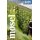 Mosel  Reisetaschenbuch